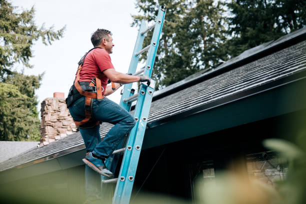 Best Roof Moss and Algae Removal  in Stroudsburg, PA